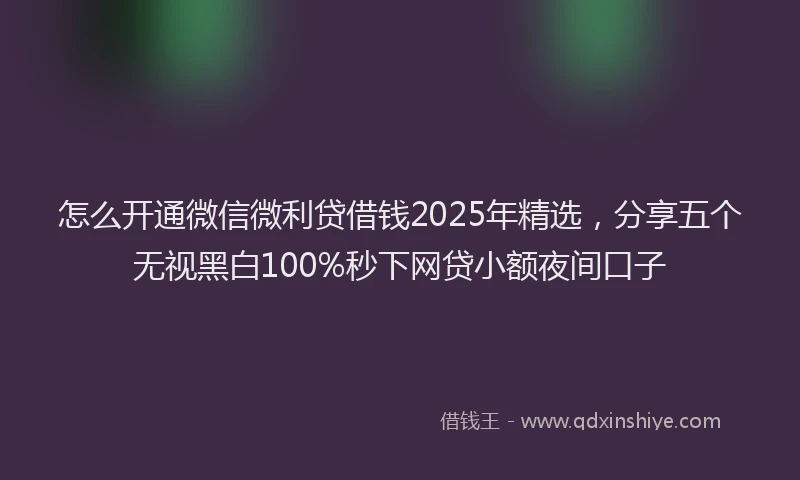 怎么开通微信微利贷借钱2025年精选，分享五个无视黑白100%秒下网贷小额夜间口子