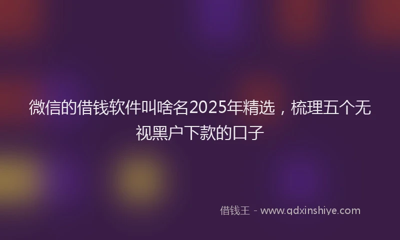 微信的借钱软件叫啥名2025年精选，梳理五个无视黑户下款的口子