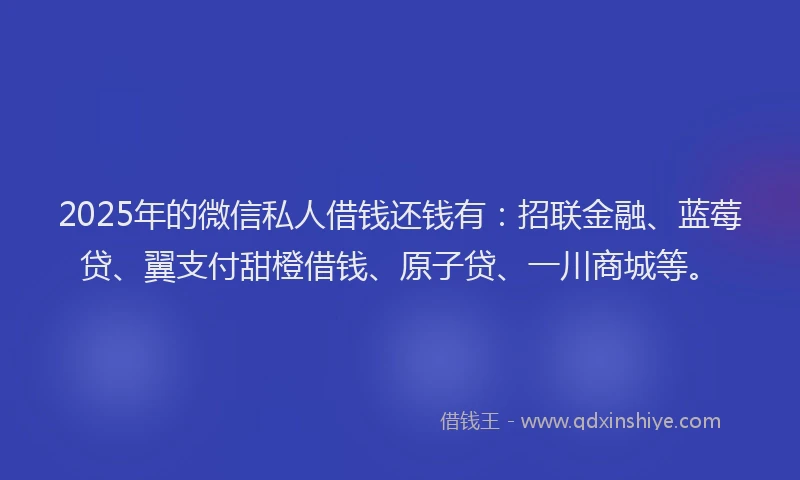 2025年的微信私人借钱还钱有：招联金融、蓝莓贷、翼支付甜橙借钱、原子贷、一川商城等。