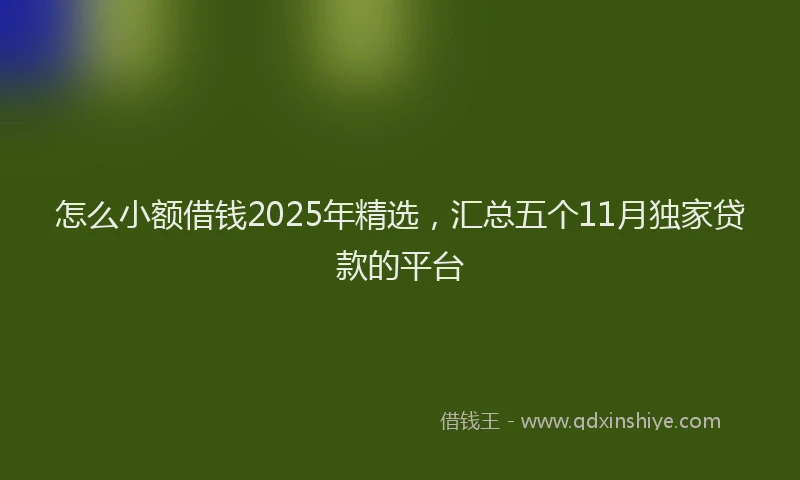 怎么小额借钱2025年精选，汇总五个11月独家贷款的平台