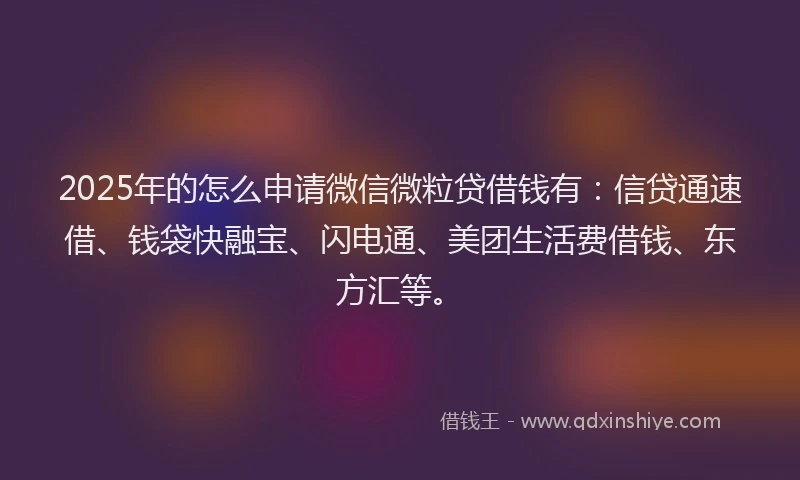 2025年的怎么申请微信微粒贷借钱有：信贷通速借、钱袋快融宝、闪电通、美团生活费借钱、东方汇等。