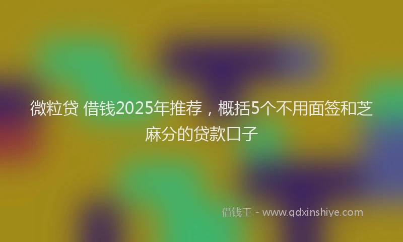 微粒贷 借钱2025年推荐，概括5个不用面签和芝麻分的贷款口子