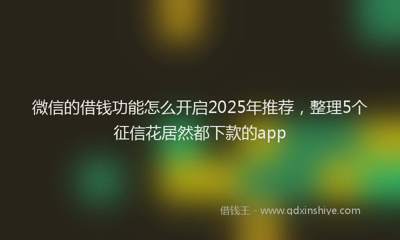微信的借钱功能怎么开启2025年推荐，整理5个征信花居然都下款的app
