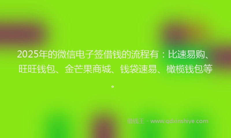 2025年的微信电子签借钱的流程有：比速易购、旺旺钱包、金芒果商城、钱袋速易、橄榄钱包等。