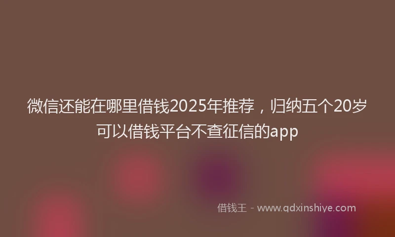 微信还能在哪里借钱2025年推荐，归纳五个20岁可以借钱平台不查征信的app