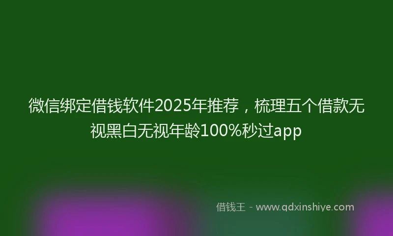 微信绑定借钱软件2025年推荐，梳理五个借款无视黑白无视年龄100%秒过app
