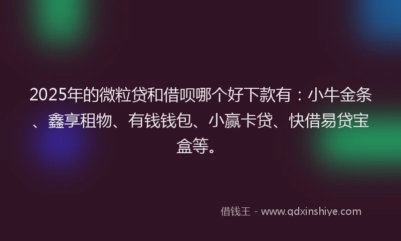 2025年的微粒贷和借呗哪个好下款有：小牛金条、鑫享租物、有钱钱包、小赢卡贷、快借易贷宝盒等。