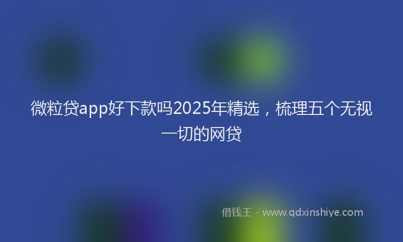 微粒贷app好下款吗2025年精选，梳理五个无视一切的网贷
