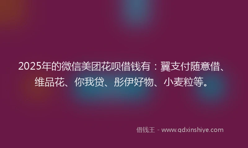 2025年的微信美团花呗借钱有：翼支付随意借、维品花、你我贷、彤伊好物、小麦粒等。