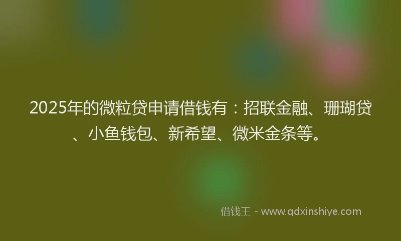 2025年的微粒贷申请借钱有：招联金融、珊瑚贷、小鱼钱包、新希望、微米金条等。