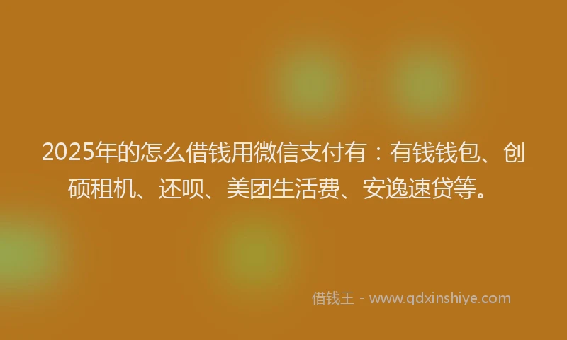 2025年的怎么借钱用微信支付有：有钱钱包、创硕租机、还呗、美团生活费、安逸速贷等。