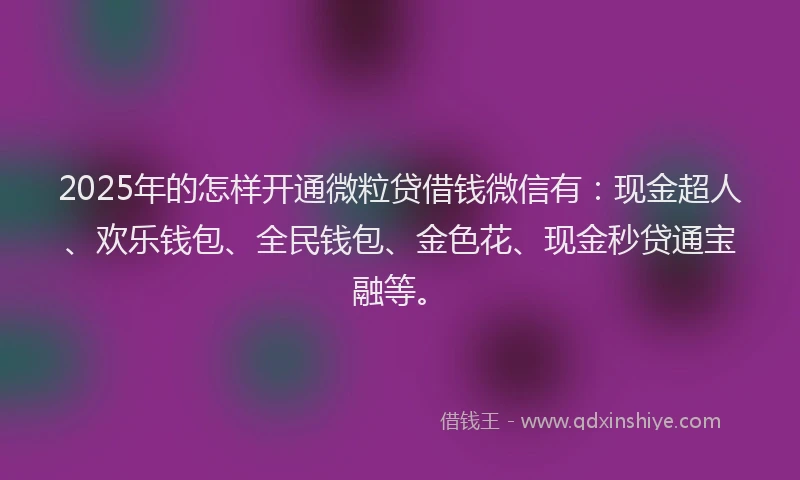 2025年的怎样开通微粒贷借钱微信有：现金超人、欢乐钱包、全民钱包、金色花、现金秒贷通宝融等。