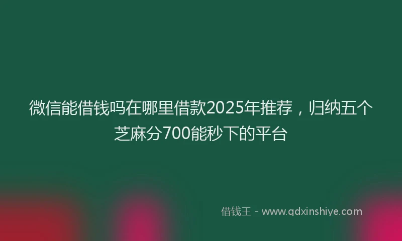 微信能借钱吗在哪里借款2025年推荐，归纳五个芝麻分700能秒下的平台