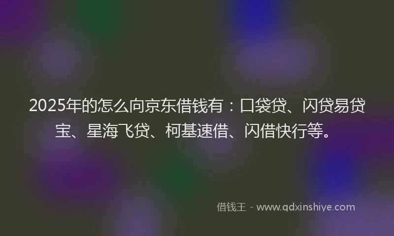2025年的怎么向京东借钱有：口袋贷、闪贷易贷宝、星海飞贷、柯基速借、闪借快行等。