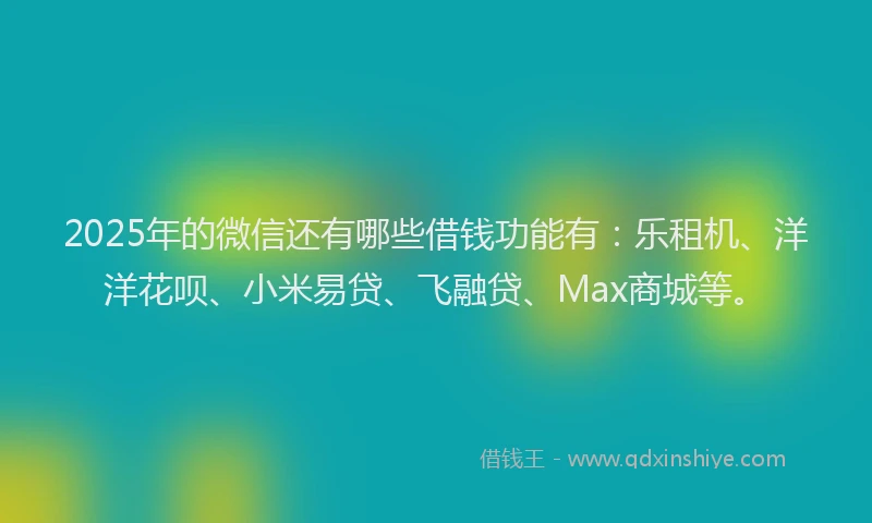 2025年的微信还有哪些借钱功能有：乐租机、洋洋花呗、小米易贷、飞融贷、Max商城等。