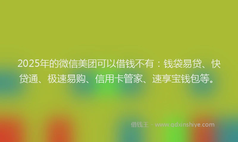 2025年的微信美团可以借钱不有：钱袋易贷、快贷通、极速易购、信用卡管家、速享宝钱包等。
