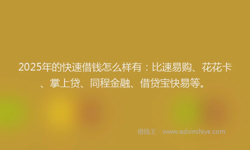 2025年的快速借钱怎么样有：比速易购、花花卡、掌上贷、同程金融、借贷宝快易等。