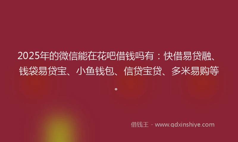 2025年的微信能在花吧借钱吗有：快借易贷融、钱袋易贷宝、小鱼钱包、信贷宝贷、多米易购等。
