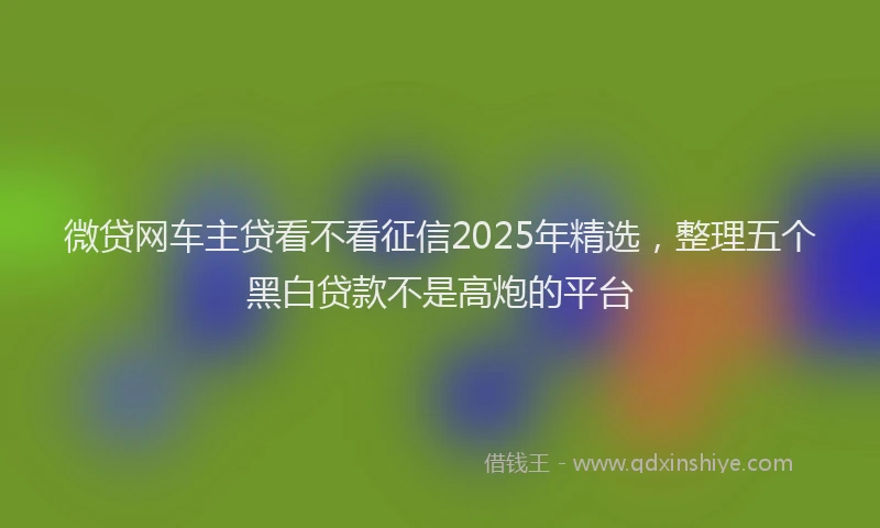 微贷网车主贷看不看征信2025年精选，整理五个黑白贷款不是高炮的平台