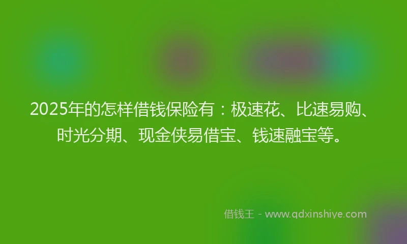 2025年的怎样借钱保险有：极速花、比速易购、时光分期、现金侠易借宝、钱速融宝等。