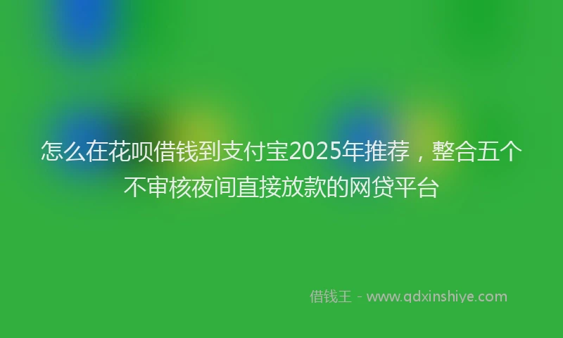 怎么在花呗借钱到支付宝2025年推荐，整合五个不审核夜间直接放款的网贷平台