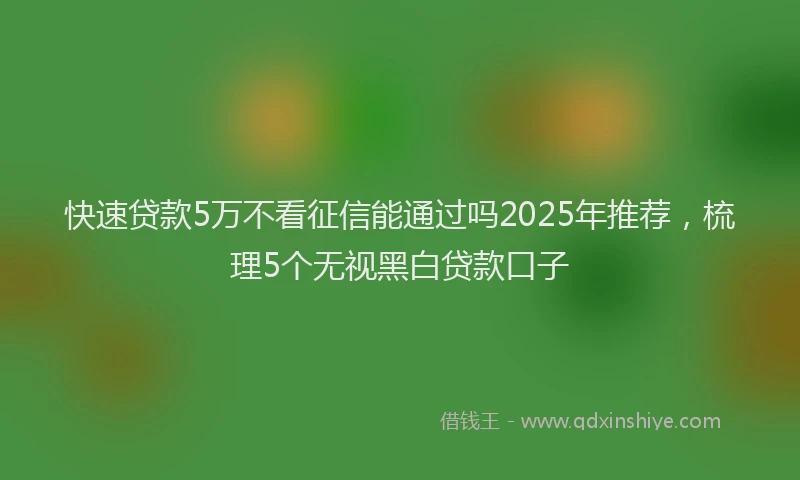 快速贷款5万不看征信能通过吗2025年推荐，梳理5个无视黑白贷款口子