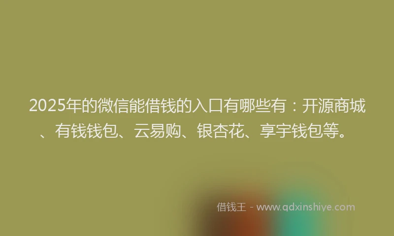 2025年的微信能借钱的入口有哪些有：开源商城、有钱钱包、云易购、银杏花、享宇钱包等。