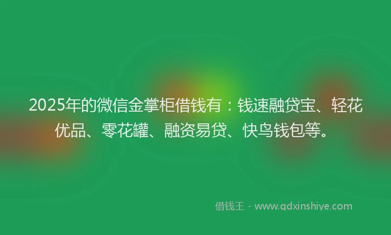2025年的微信金掌柜借钱有：钱速融贷宝、轻花优品、零花罐、融资易贷、快鸟钱包等。