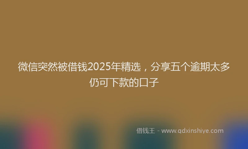 微信突然被借钱2025年精选，分享五个逾期太多仍可下款的口子