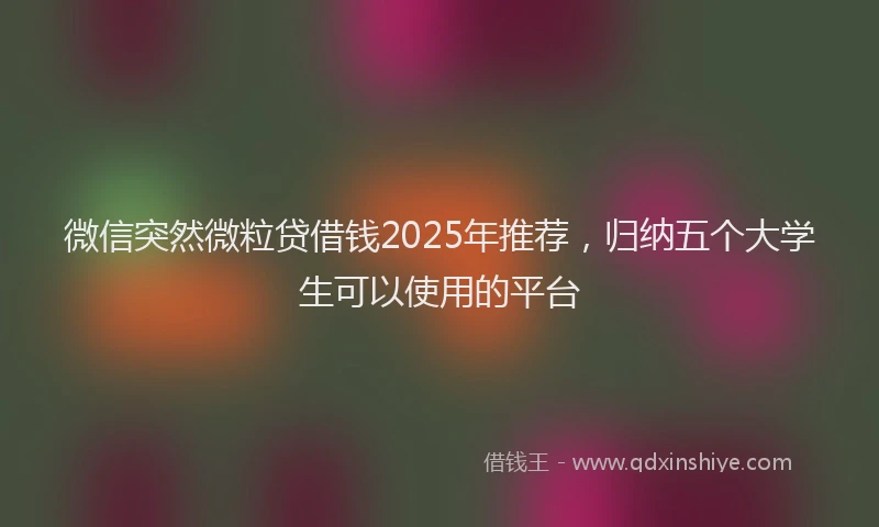 微信突然微粒贷借钱2025年推荐，归纳五个大学生可以使用的平台