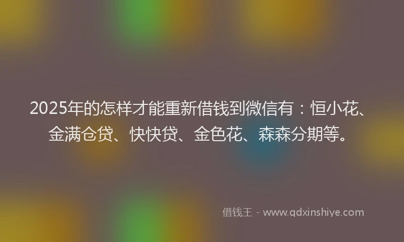 2025年的怎样才能重新借钱到微信有：恒小花、金满仓贷、快快贷、金色花、森森分期等。