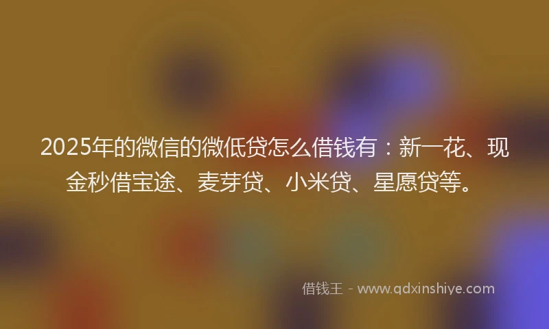 2025年的微信的微低贷怎么借钱有：新一花、现金秒借宝途、麦芽贷、小米贷、星愿贷等。