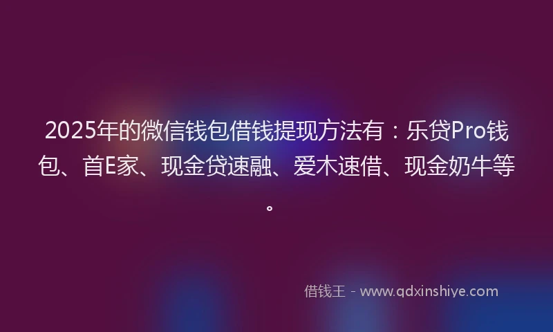 2025年的微信钱包借钱提现方法有：乐贷Pro钱包、首E家、现金贷速融、爱木速借、现金奶牛等。