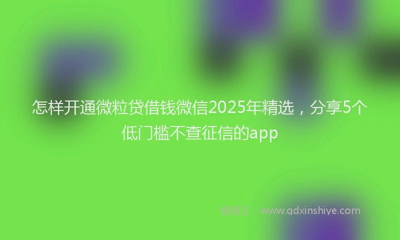 怎样开通微粒贷借钱微信2025年精选，分享5个低门槛不查征信的app