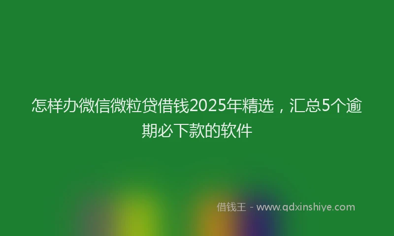 怎样办微信微粒贷借钱2025年精选，汇总5个逾期必下款的软件