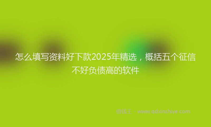 怎么填写资料好下款2025年精选，概括五个征信不好负债高的软件