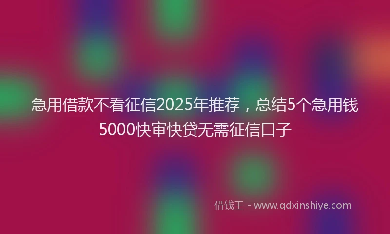 急用借款不看征信2025年推荐，总结5个急用钱5000快审快贷无需征信口子