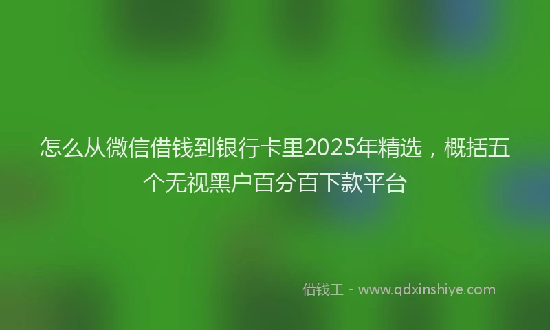 怎么从微信借钱到银行卡里2025年精选，概括五个无视黑户百分百下款平台