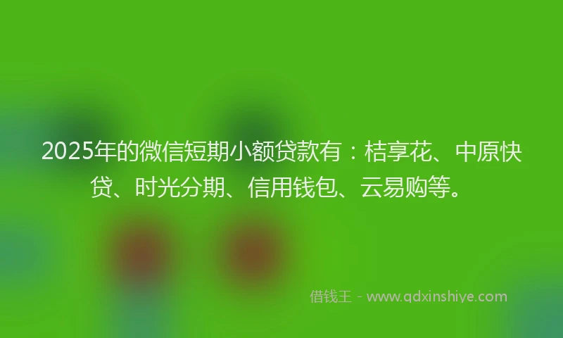 2025年的微信短期小额贷款有：桔享花、中原快贷、时光分期、信用钱包、云易购等。