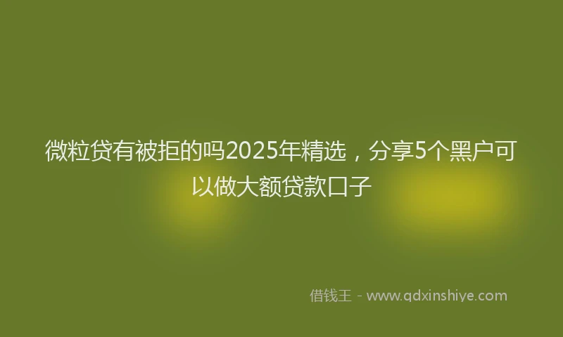 微粒贷有被拒的吗2025年精选，分享5个黑户可以做大额贷款口子