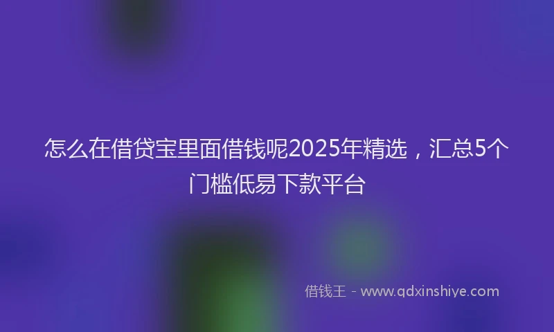 怎么在借贷宝里面借钱呢2025年精选，汇总5个门槛低易下款平台