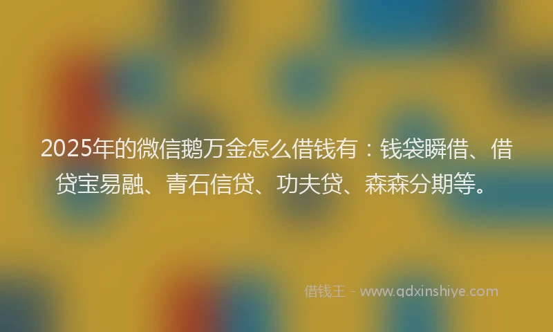 2025年的微信鹅万金怎么借钱有：钱袋瞬借、借贷宝易融、青石信贷、功夫贷、森森分期等。