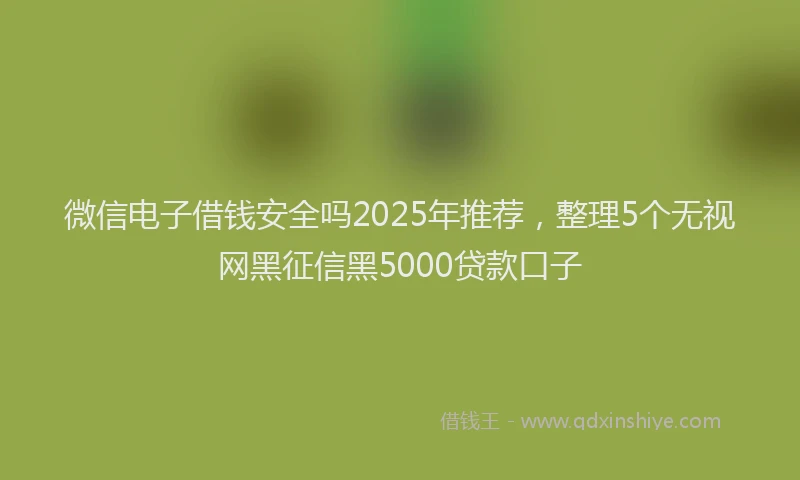 微信电子借钱安全吗2025年推荐，整理5个无视网黑征信黑5000贷款口子
