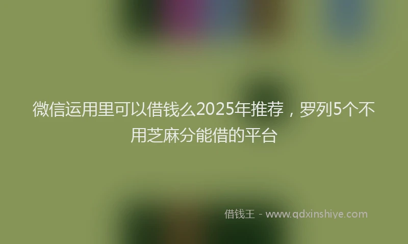 微信运用里可以借钱么2025年推荐，罗列5个不用芝麻分能借的平台