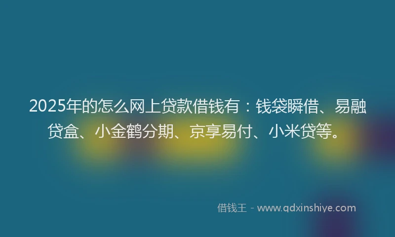 2025年的怎么网上贷款借钱有：钱袋瞬借、易融贷盒、小金鹤分期、京享易付、小米贷等。