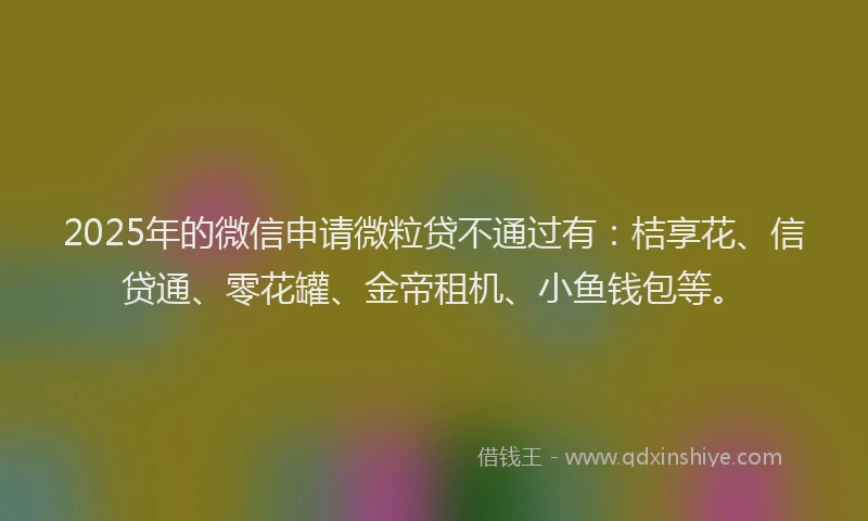2025年的微信申请微粒贷不通过有：桔享花、信贷通、零花罐、金帝租机、小鱼钱包等。