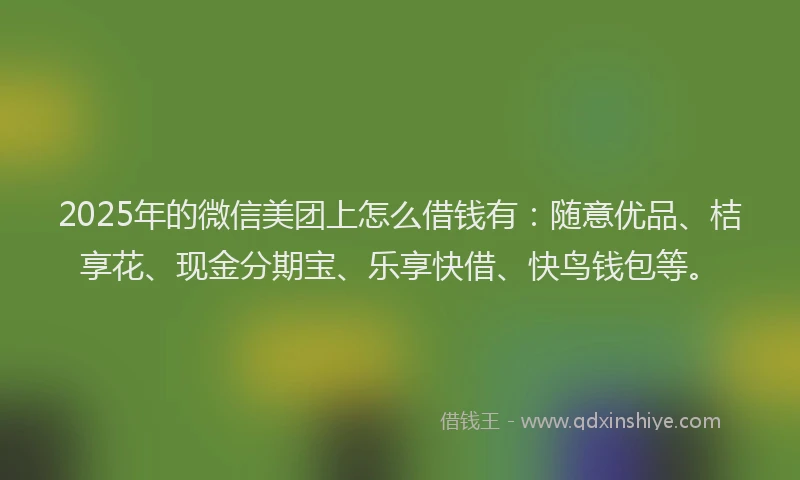 2025年的微信美团上怎么借钱有：随意优品、桔享花、现金分期宝、乐享快借、快鸟钱包等。