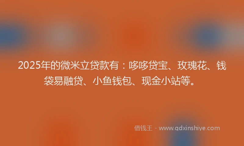 2025年的微米立贷款有：哆哆贷宝、玫瑰花、钱袋易融贷、小鱼钱包、现金小站等。