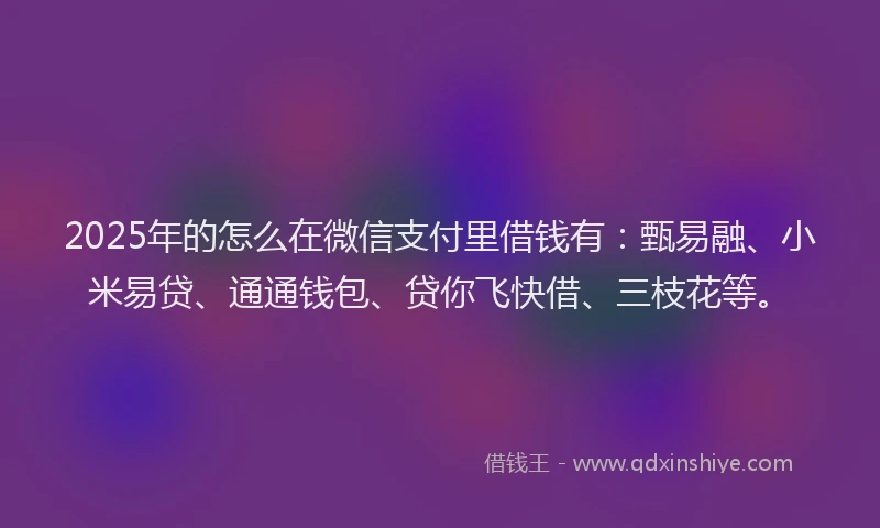 2025年的怎么在微信支付里借钱有：甄易融、小米易贷、通通钱包、贷你飞快借、三枝花等。