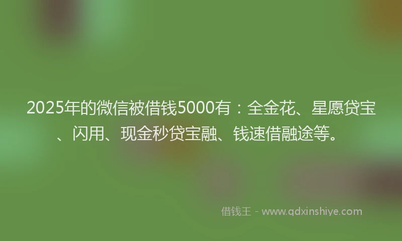 2025年的微信被借钱5000有：全金花、星愿贷宝、闪用、现金秒贷宝融、钱速借融途等。